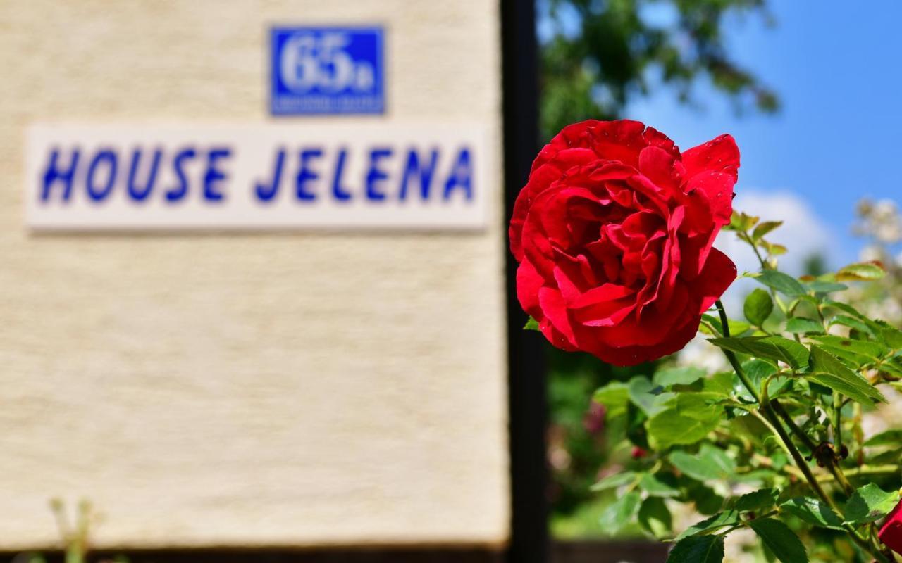 House Jelena Apartment Seliste Dreznicko Ngoại thất bức ảnh