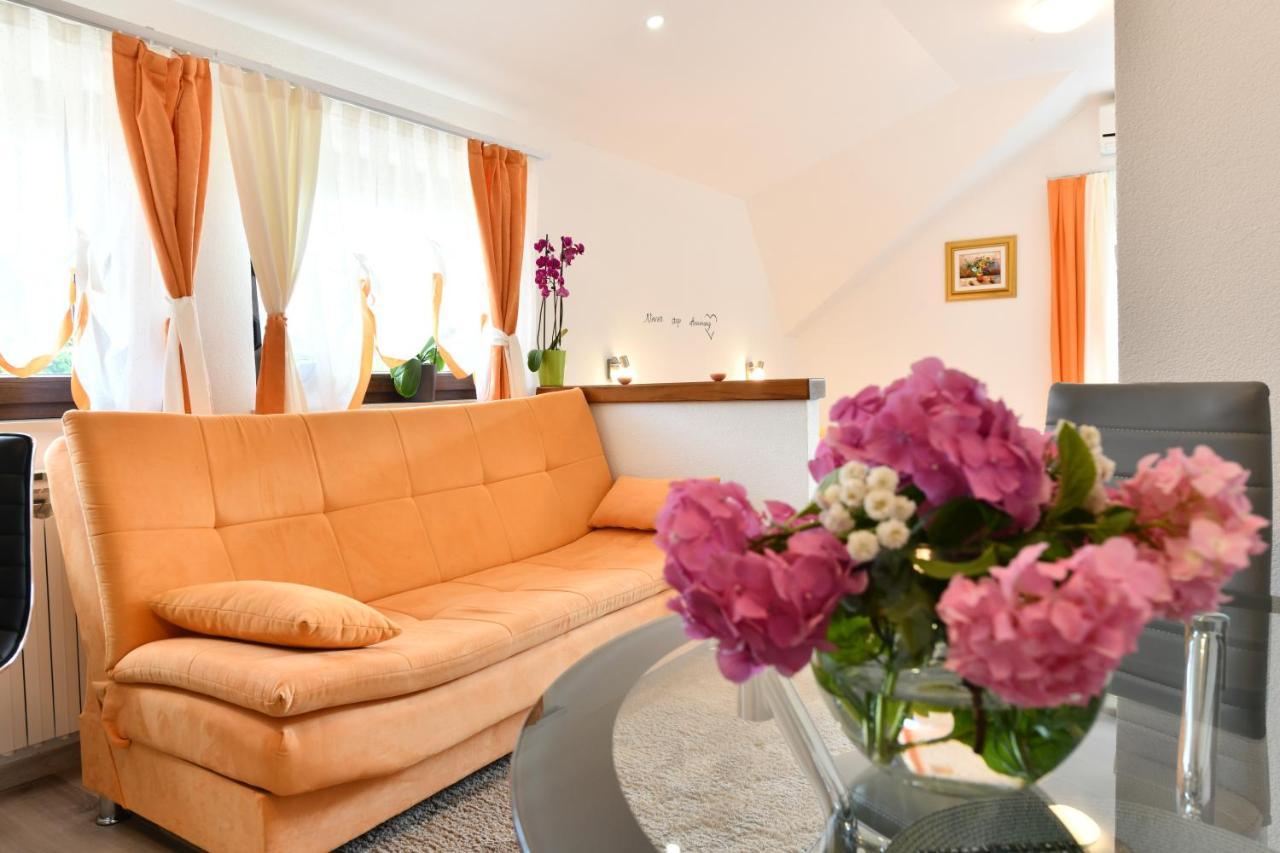 House Jelena Apartment Seliste Dreznicko Ngoại thất bức ảnh