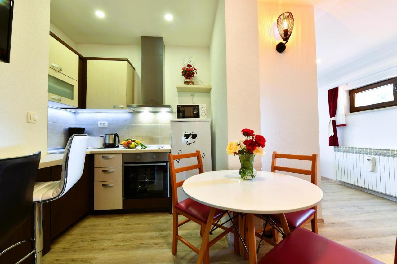 House Jelena Apartment Seliste Dreznicko Ngoại thất bức ảnh